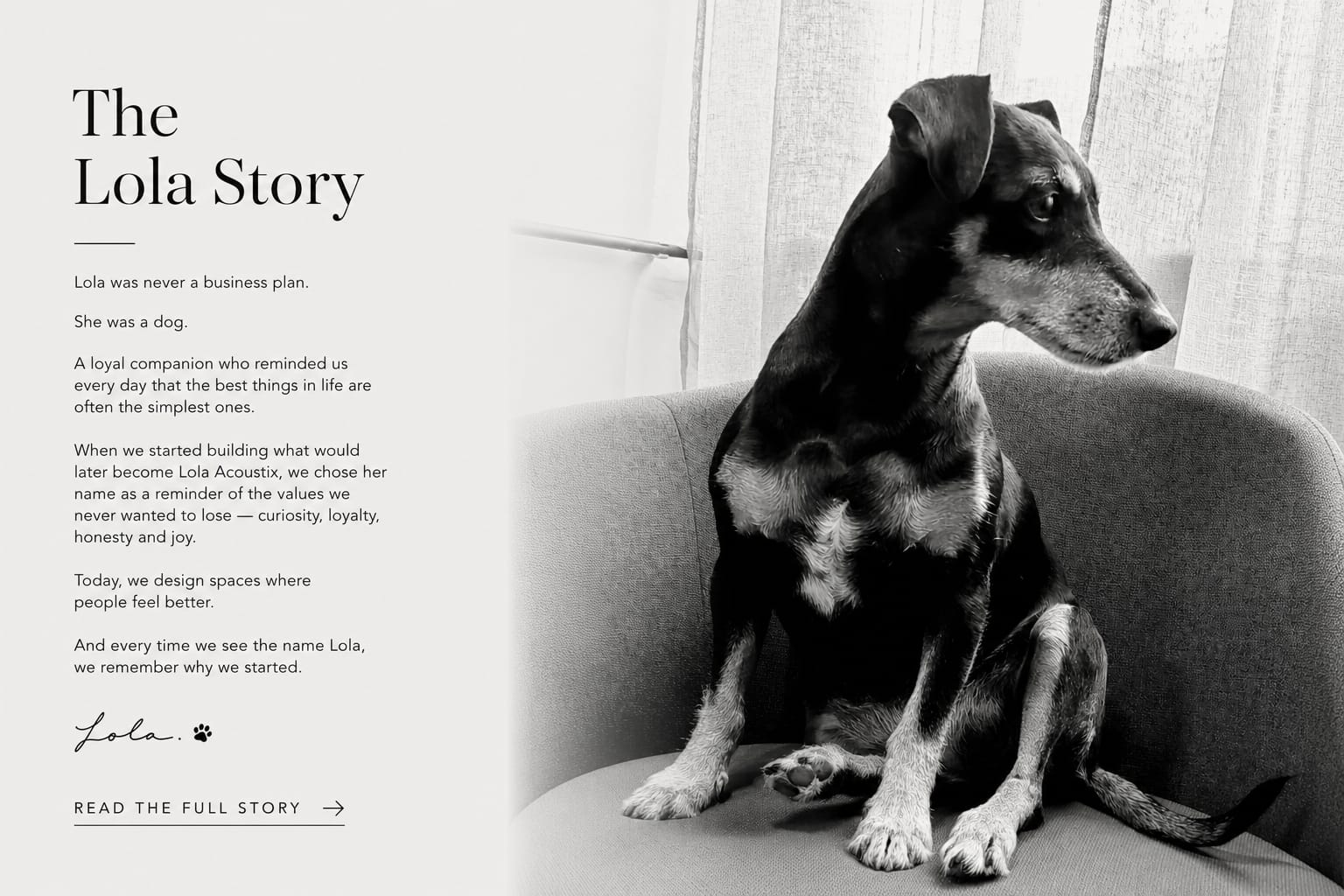 The Lola Story — Lola was never a business plan, she was a dog. A loyal companion who reminded us every day that the best things in life are often the simplest ones. When we started building what would later become Lola Acoustix, we chose her name as a reminder of the values we never wanted to lose — curiosity, loyalty, honesty and joy. Today, we design spaces where people feel better. And every time we see the name Lola, we remember why we started.