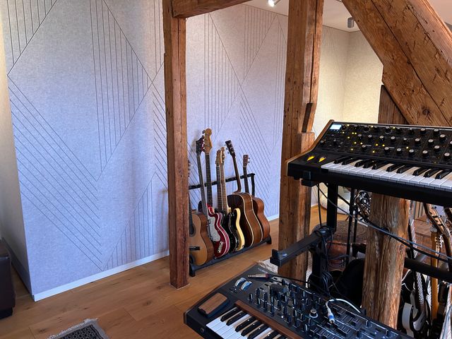 Privatni kućni glazbeni studio, Heidelberg